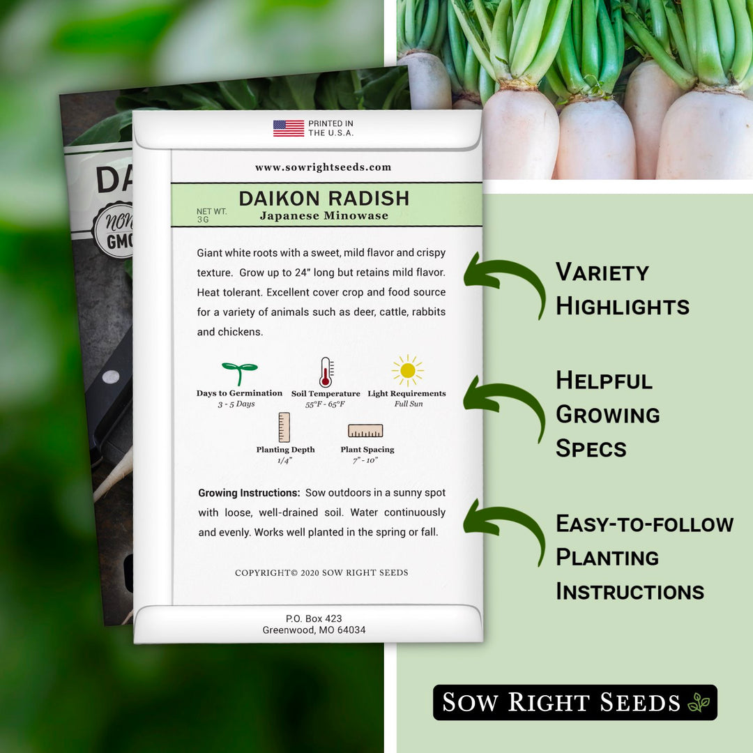 planting daikon seeds Sow Right Seeds Daikon Minowase Japanese Radish Plant Seeds, Non-GMO