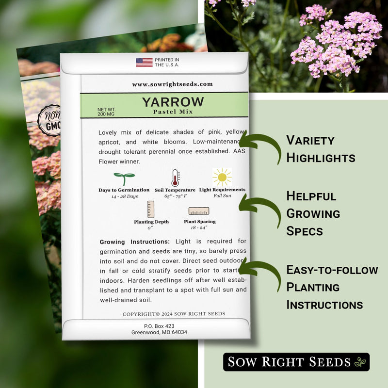 pastel mix yarrow seed packet features variety highlights helpful growing specs easy to follow planting instructions