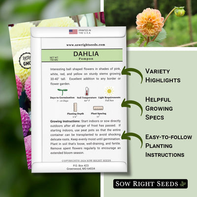 pompon dahlia seed packet features variety highlights helpful growing specs easy to follow planting instructions