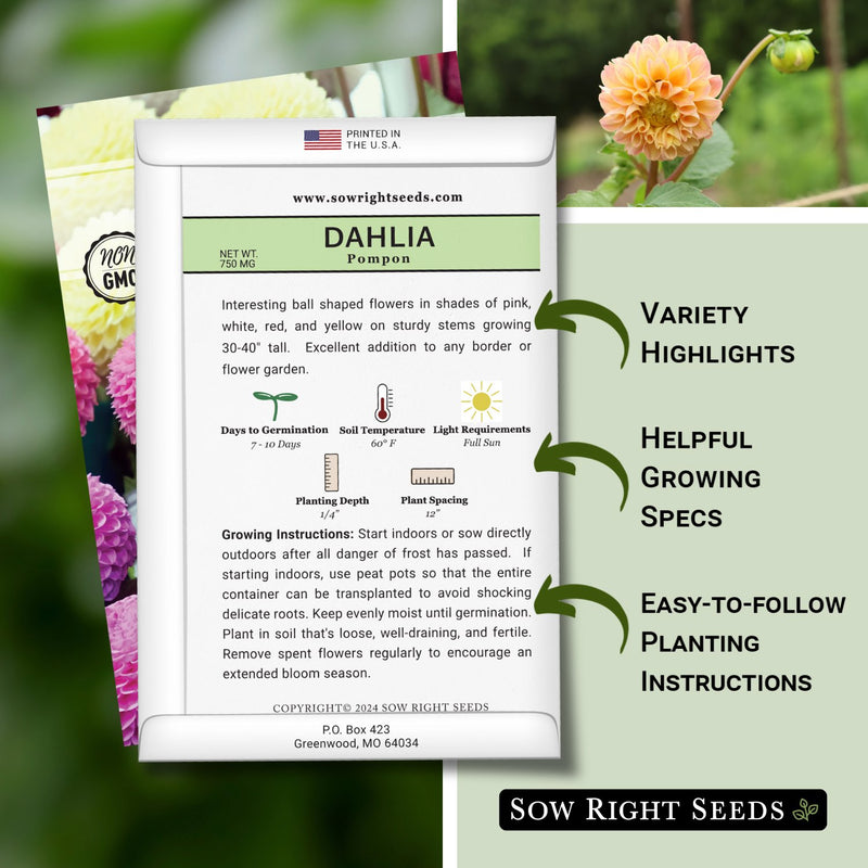 pompon dahlia seed packet features variety highlights helpful growing specs easy to follow planting instructions