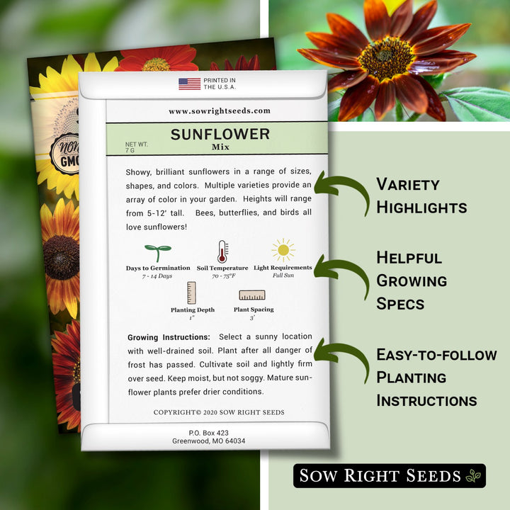 Mixed Sunflower Seeds for Planting