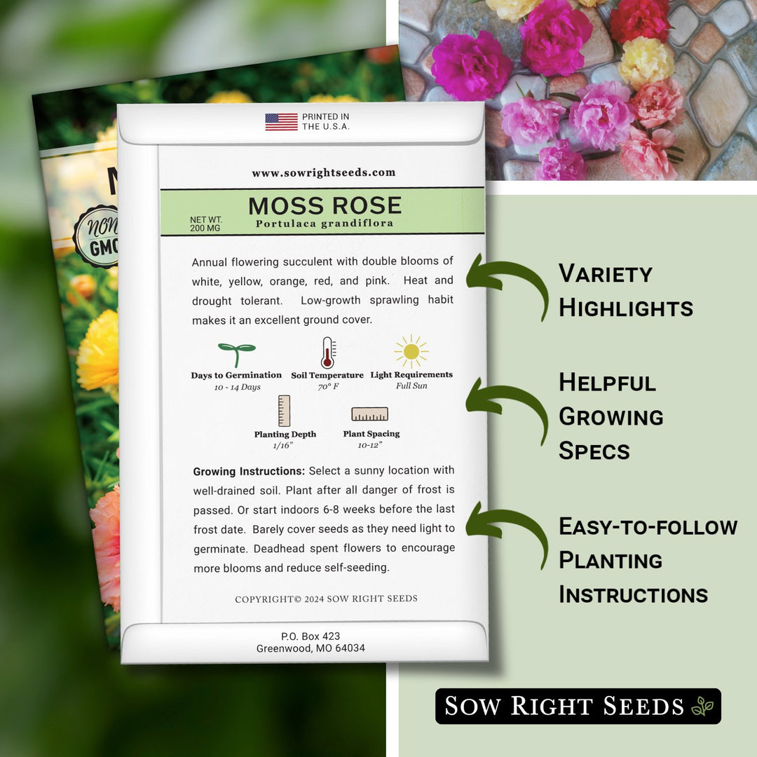 grow moss rose from seeds Moss Rose Seeds