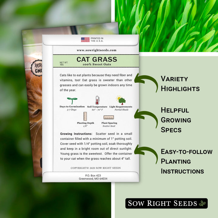 directions for planting grass seed Cat Grass Seeds to Plant