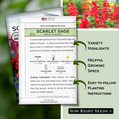 Scarlet Sage Seeds