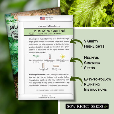 Southern Giant Curled Mustard Greens Seeds