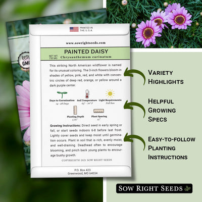 painted daisy seed packet includes variety highlights helpful growing specs easy to follow planting instructions