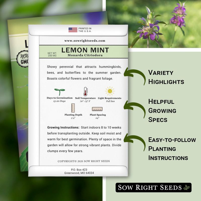 lemon seed planting instructions Lemon Mint Seeds for Planting