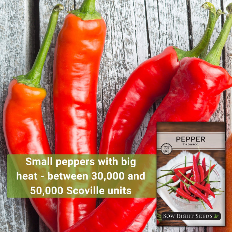 Tabasco Pepper Seeds