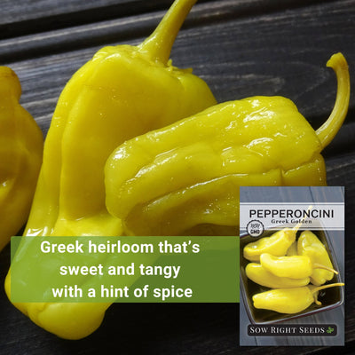 greek golden pepperoncini seeds greek heirloom that's sweet and tangy with a hint of spice
