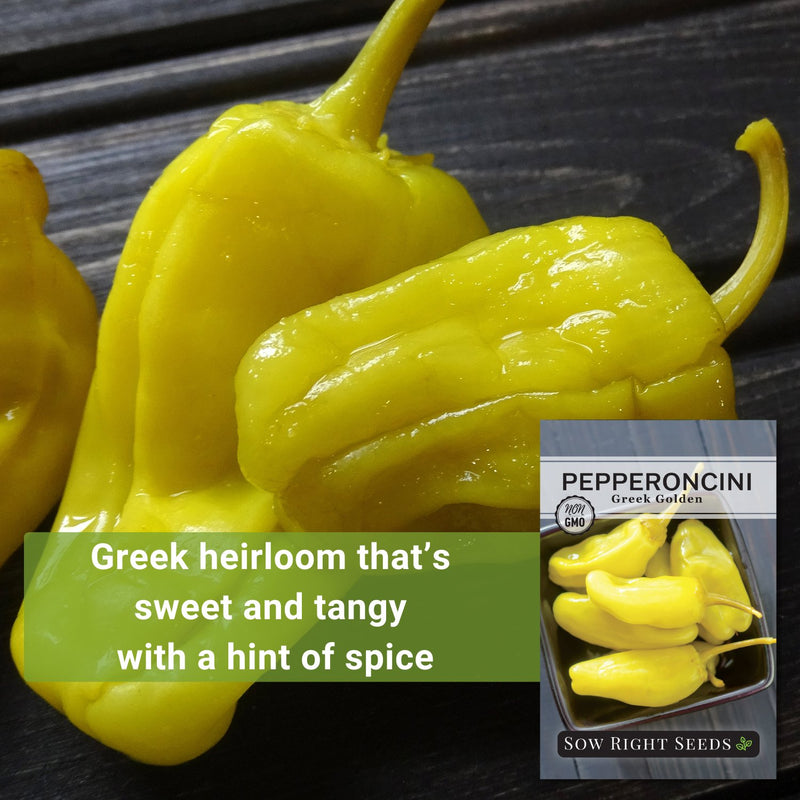 greek golden pepperoncini seeds greek heirloom that&