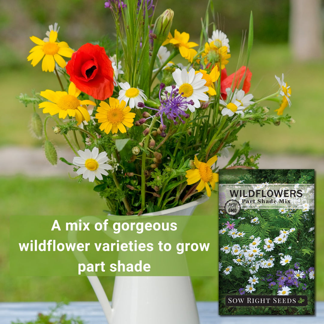 wildflower seeds partial shade Part Shade Mix Wildflower Seeds