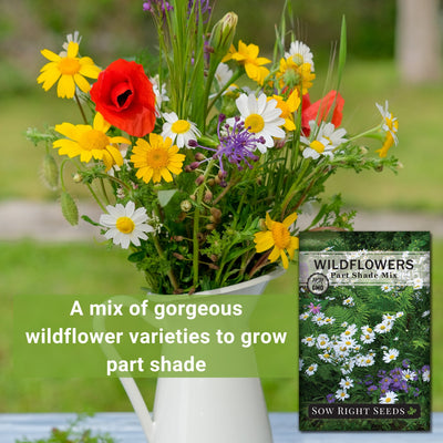 Part Shade Wildflowers