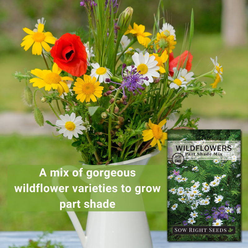wild flower seeds for shade Part Shade Mix Wildflower Seeds