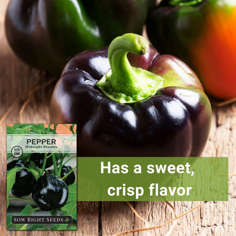 midnight dreams pepper seeds has a sweet crisp flavor