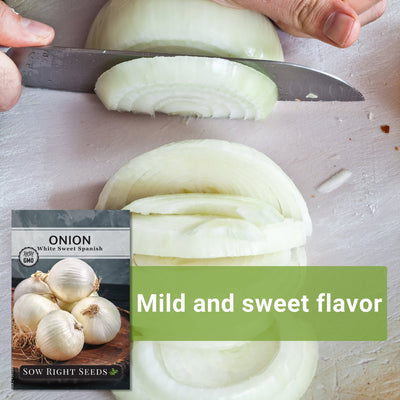 white sweet spanish onion seeds mild and sweet flavor