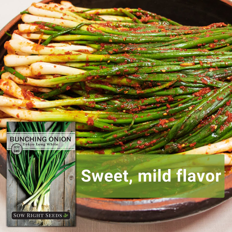 tokyo long white bunching onion seeds sweet mild flavor