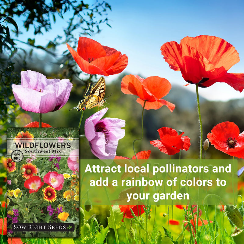 southwest mix wildflowers seeds attract local pollinators and add a rainbow of colors to your garden