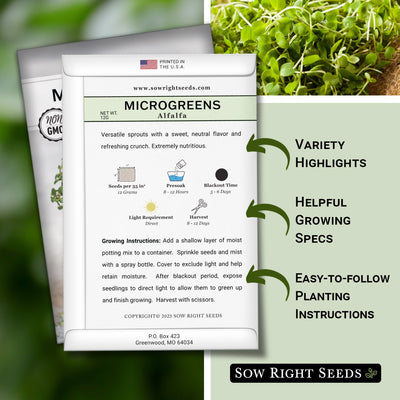 Microgreens Alfalfa