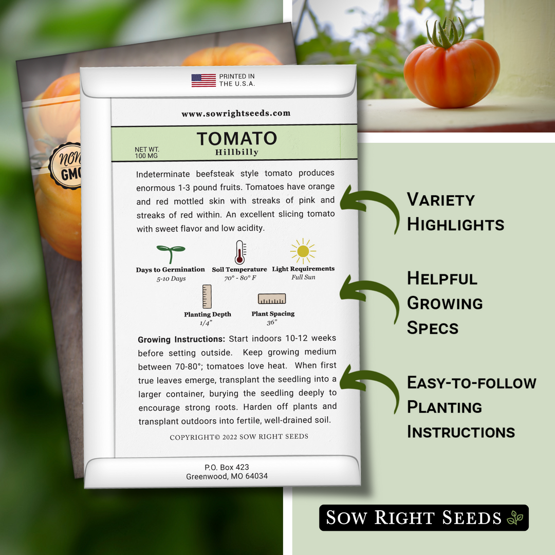 Sow Right Seeds - Hillbilly Tomato Seeds for Planting - Yellow Orange Red Marbled Beefsteak Variety - Non-GMO Heirloom