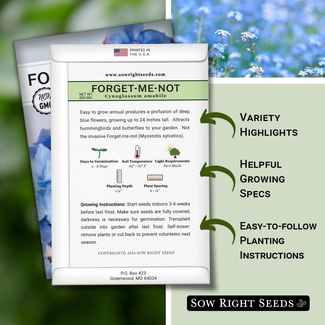 plants produce seeds but not flowers Chinese Forget-Me-Not Seeds