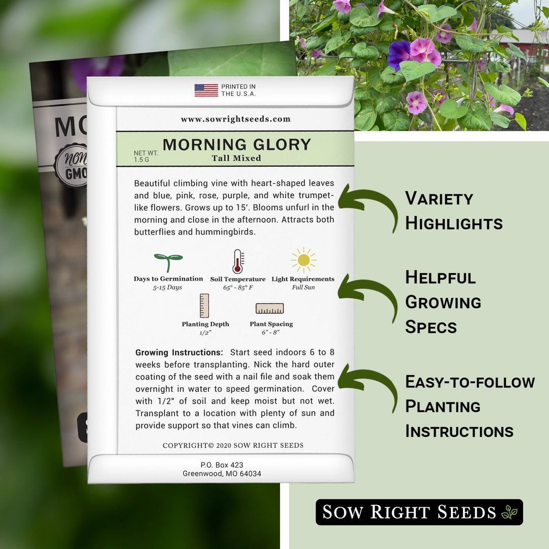 nick seeds morning glory Tall Mixed Morning Glory Seeds