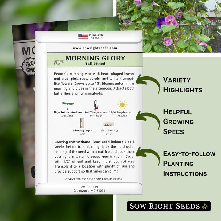 effects of eating morning glory seeds Tall Mixed Morning Glory Seeds