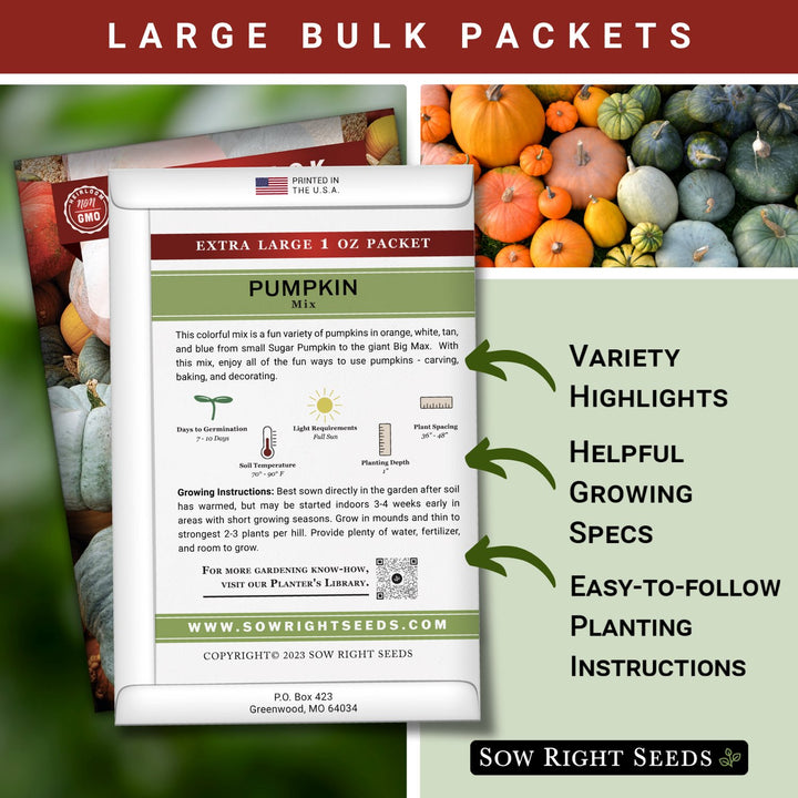 wholesale pumpkin seeds for planting Bulk Pumpkin Seeds for Planting