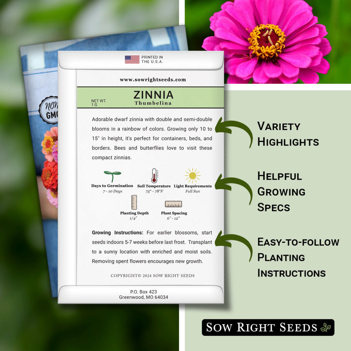 Thumbelina Zinnia
