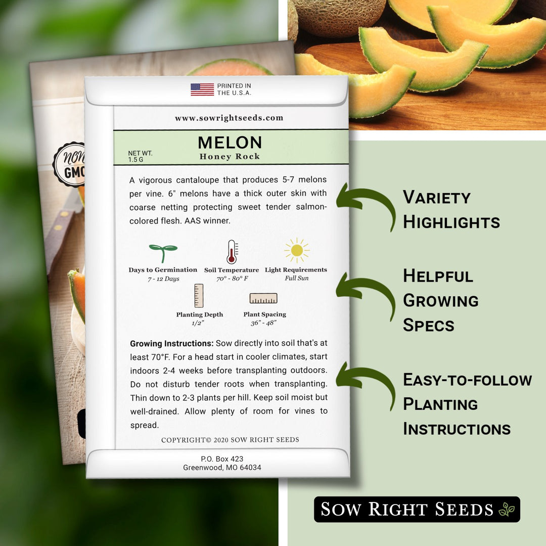 cantaloupe seeds for planting Honey Rock Melon Seeds for Planting