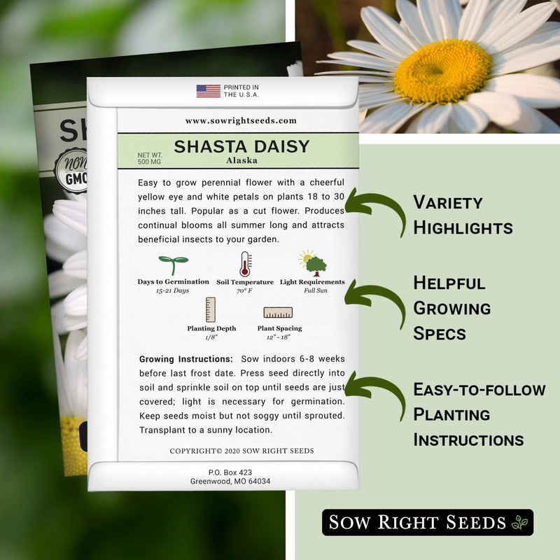 shasta alaska daisy seed packet includes variety highlights helpful growing specs easy to follow planting instructions