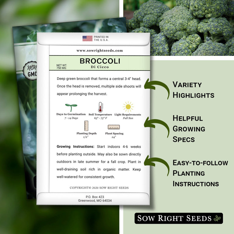 di cicco broccoli seed packet features variety highlights helpful growing specs  easy-to-follow planting instructions