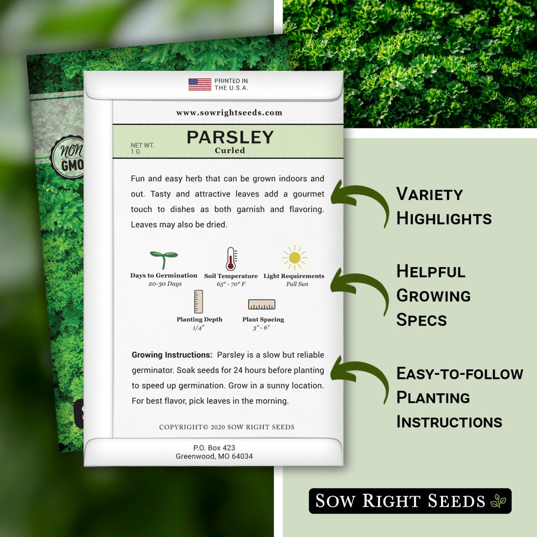 parsley seed planting depth Curled Parsley Seeds for Planting