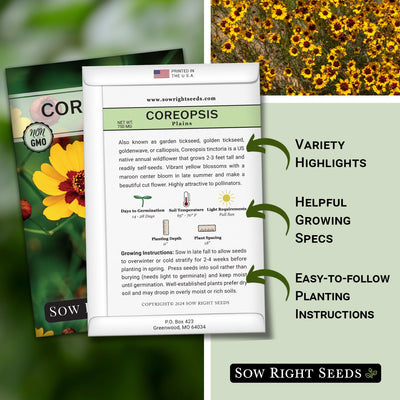 Plains Coreopsis Seeds