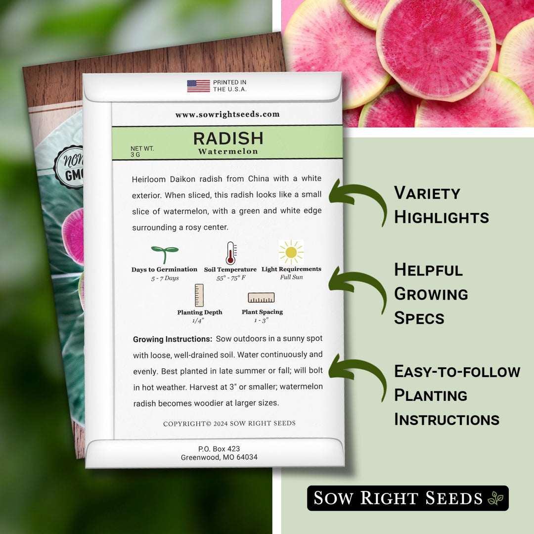 Watermelon Radish Seeds – Heirloom Chinese Radish