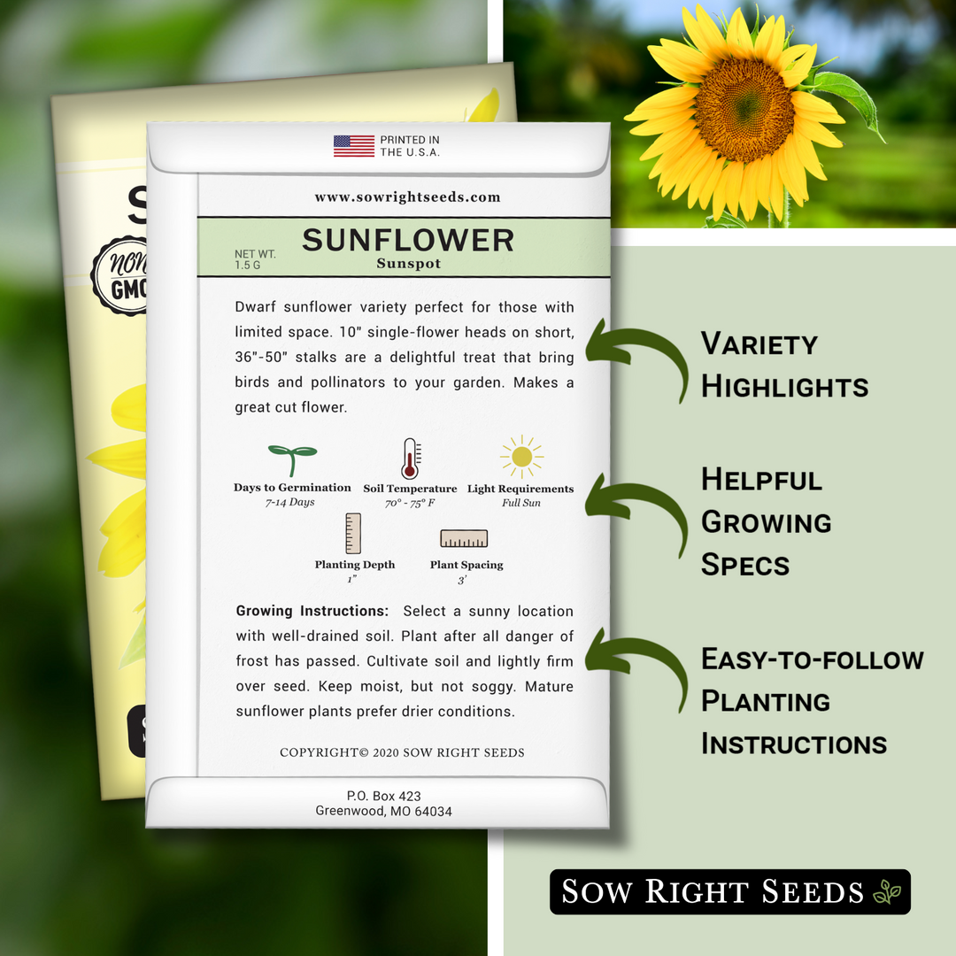 planting depth of sunflower seeds Sunspot Sunflower Seeds for Planting