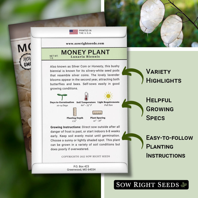 money plant packet includes variety highlights, helpful growing specs, easy to follow planting instructions