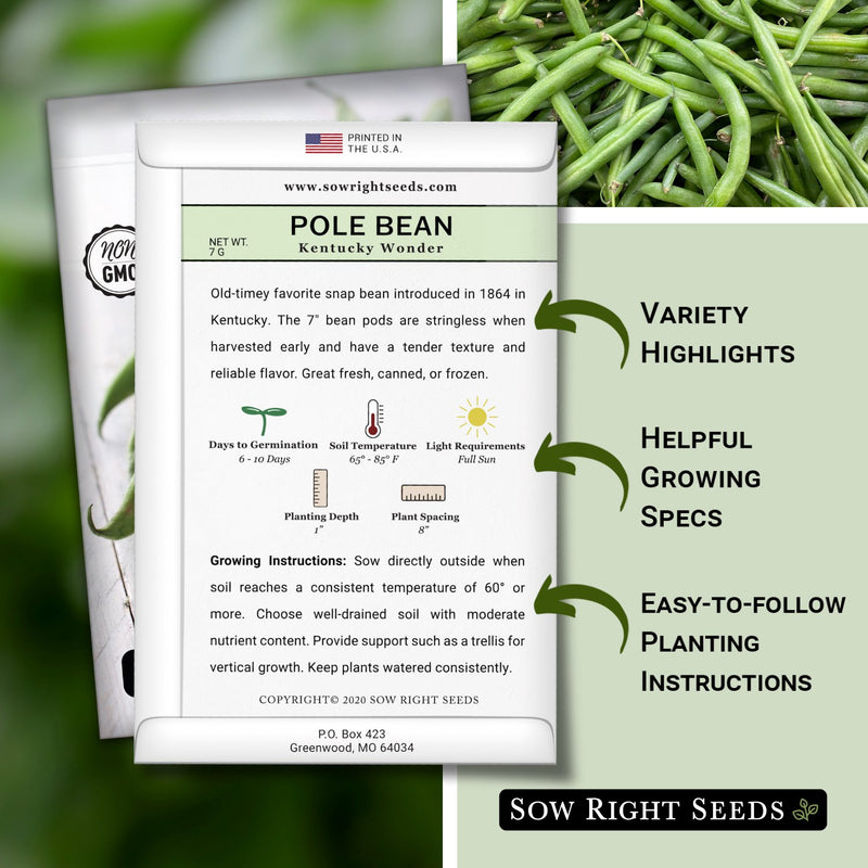 kentucky wonder pole bean packet includes variety highlights, helpful growing specs, easy to follow planting instructions