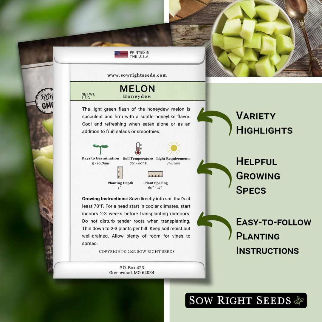 Honeydew Melon Seeds for Planting | Tasty Green Summer Melon – Sow