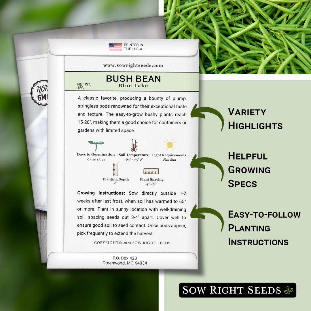 planting blue lake bush bean seeds Blue Lake Bush Bean Seeds