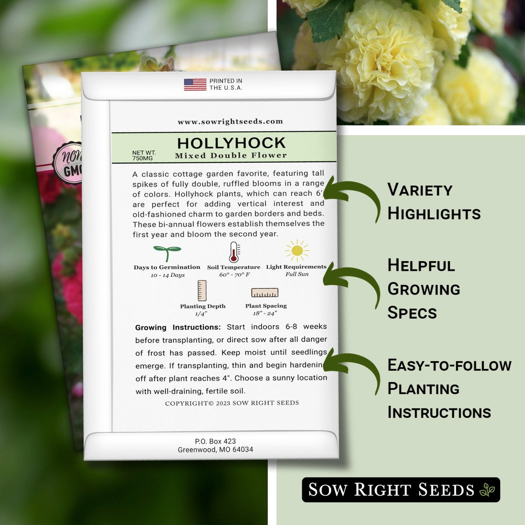 hollyhock seed planting instructions Double Flower Mixed Hollyhock