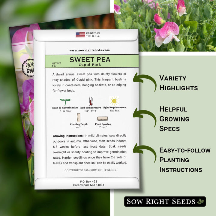 cupid garden seeds Cupid Pink Sweet Pea Seeds