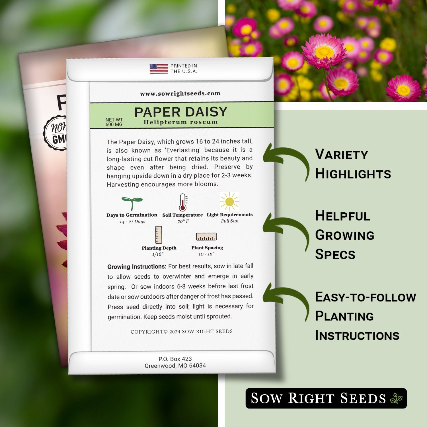planting paper daisy seeds Sow Right Seeds -Paper Daisy Flower Seeds for Planting, Beautiful Flowers to Plant in Your Garden Non-GMO Heirloom Seeds Wonderful Gardening Gifts