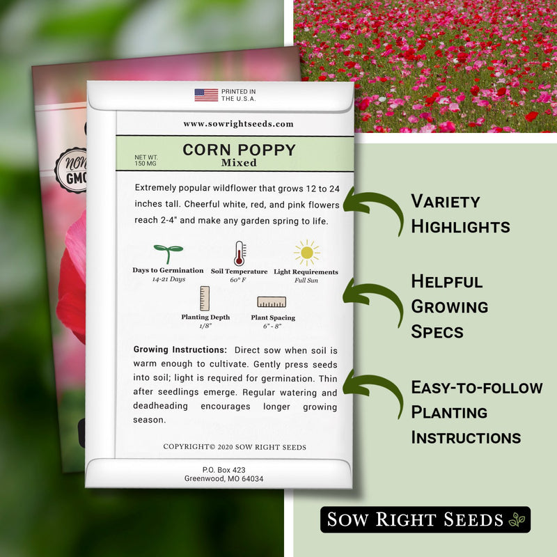 planting corn poppy seeds Corn Poppy Seeds