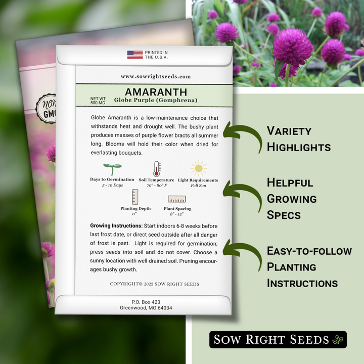 planting globe amaranth seeds Purple Globe Amaranth (Gomphrena) Seeds – Sow Right Seeds