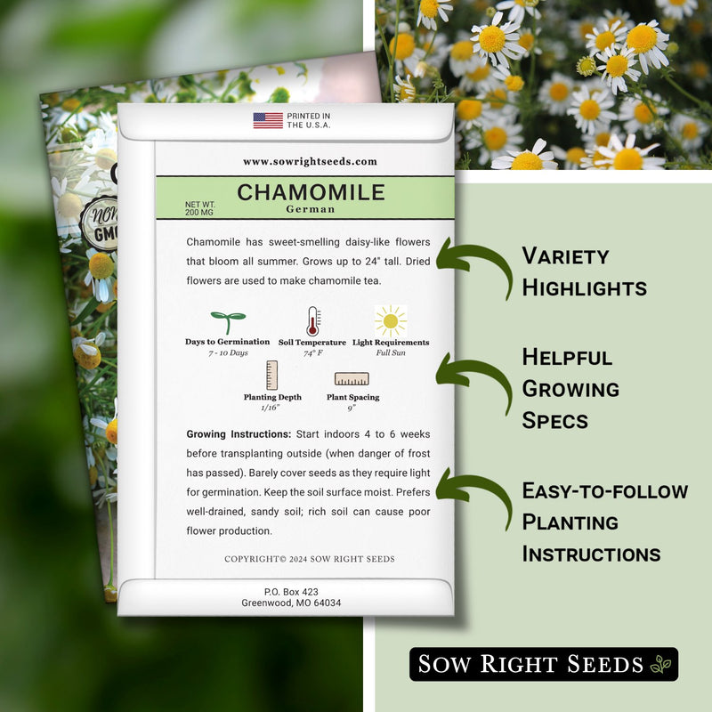 German Chamomile