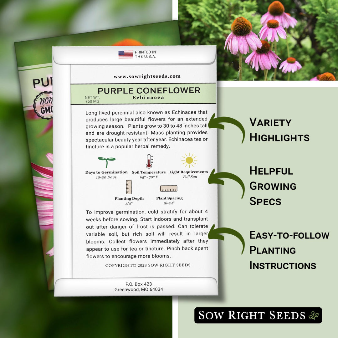 Echinacea Seeds