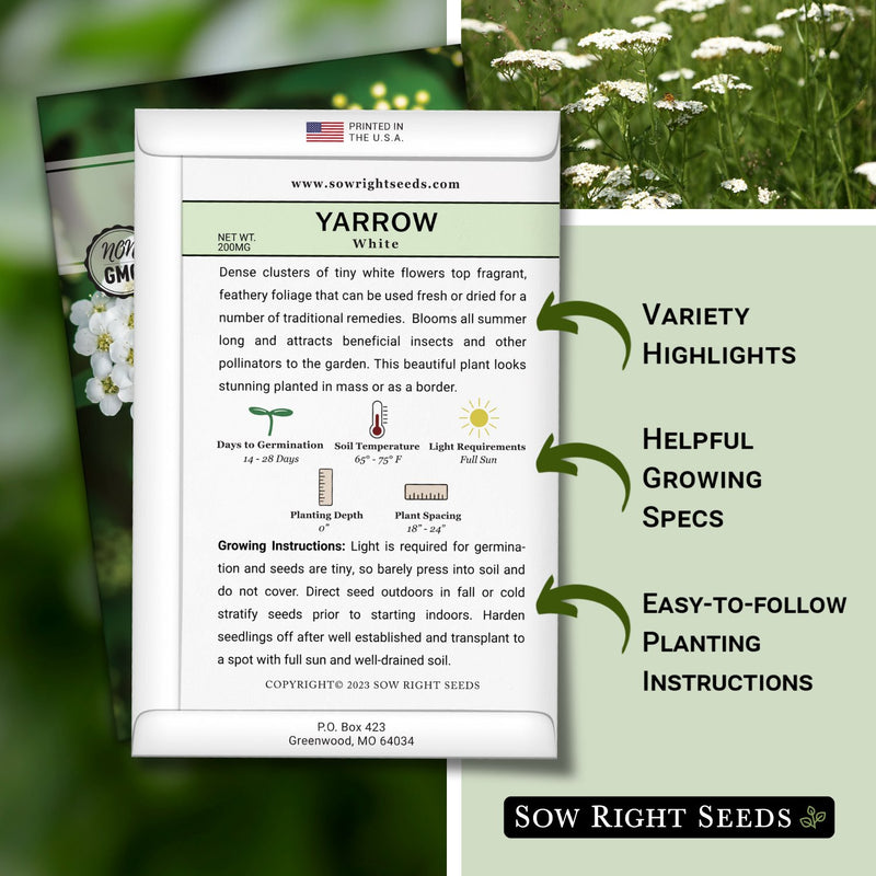 white common yarrow seed packet includes variety highlights helpful growing specs easy to follow planting instructions
