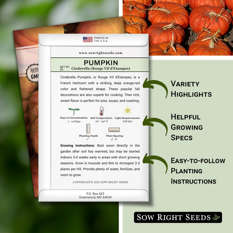 cinderella pumpkin seed packet includes variety highlights helpful growing specs easy to follow planting instructions