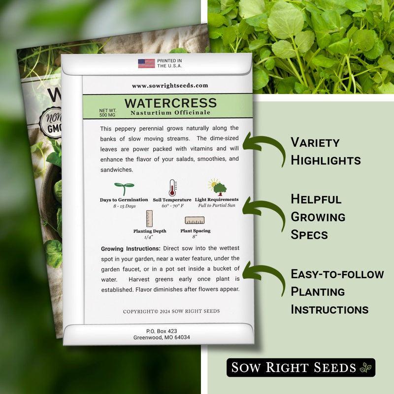 Watercress