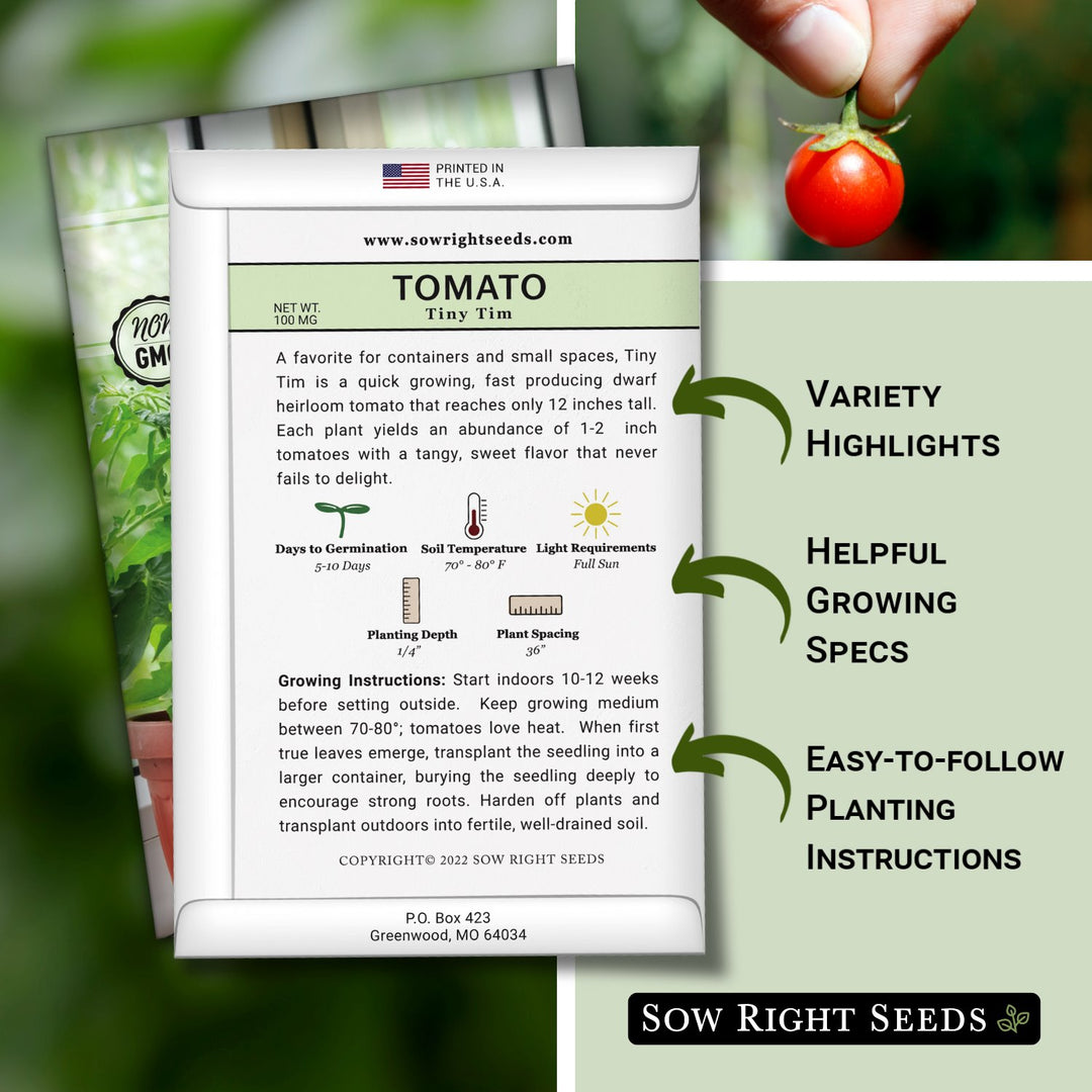 tomato seed to plant time Tiny Time Tomato Seeds for Planting